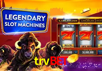 trvbet Salvador - Support